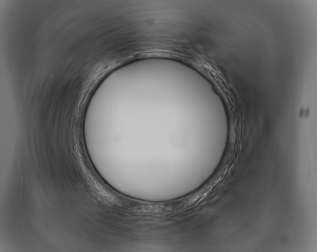 X0000090990049200708021212