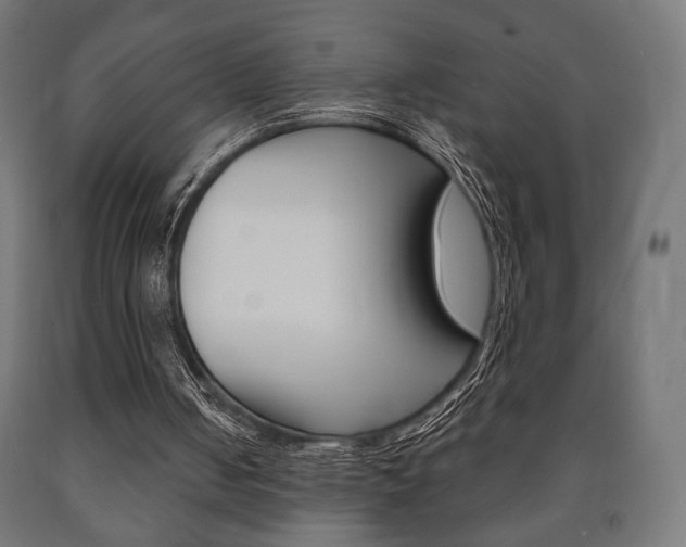 X0000090990050200708021212
