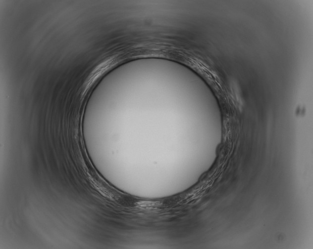 X0000090990051200708021212
