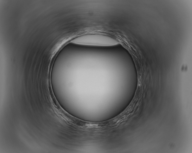 X0000090990052200708021212