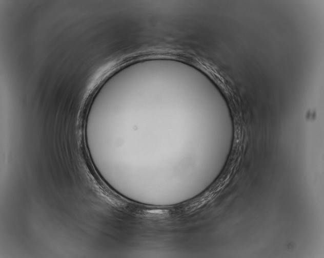 X0000090990053200708021212