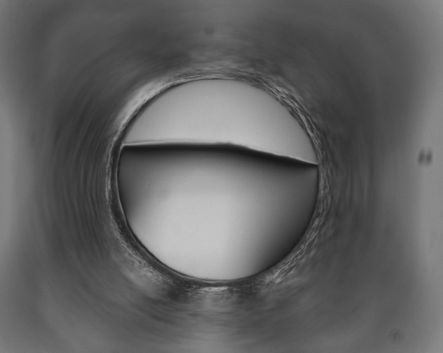 X0000090990054200708021212