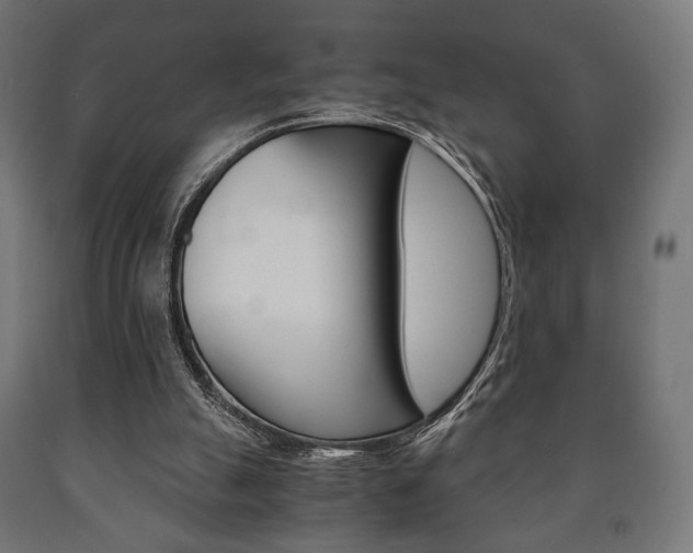 X0000090990055200708021212