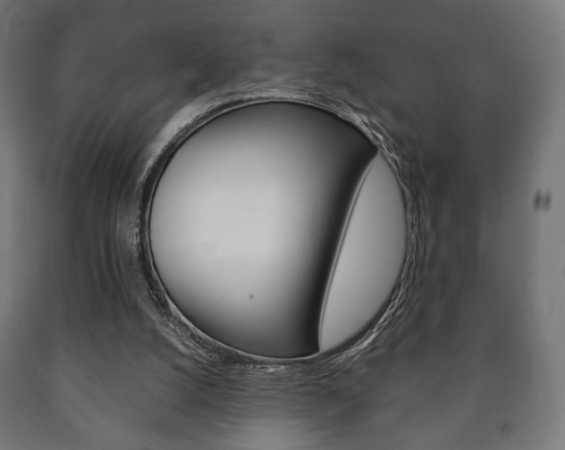 X0000090990056200708021212