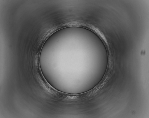 X0000090990057200708021212