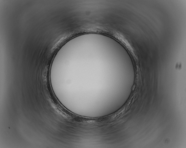 X0000090990058200708021212