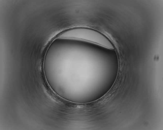 X0000090990060200708021212