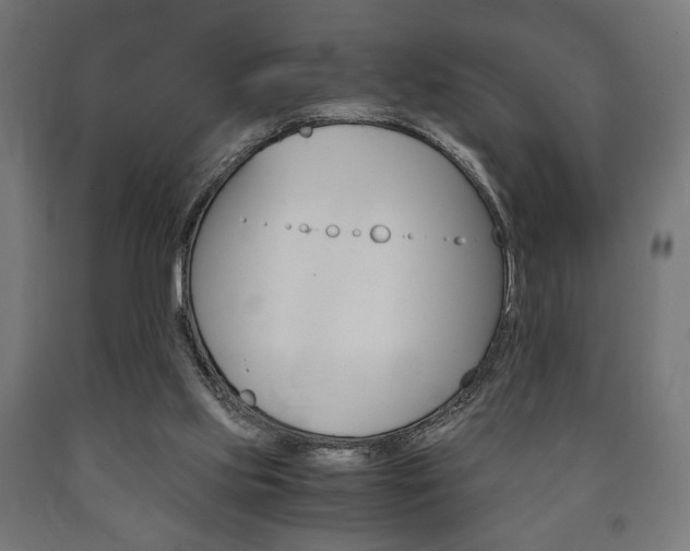 X0000090990061200708021212