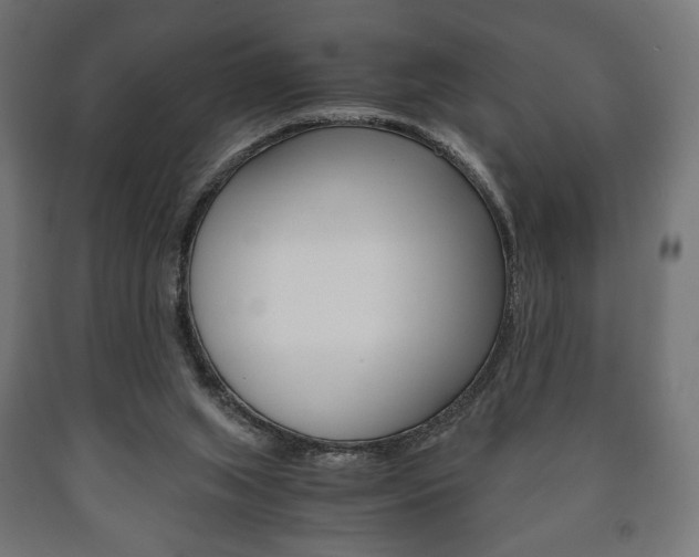 X0000090990063200708021212