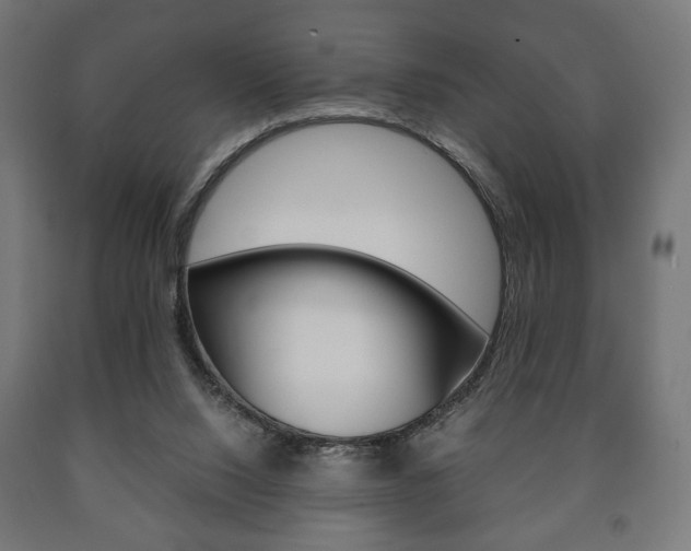 X0000090990064200708021212