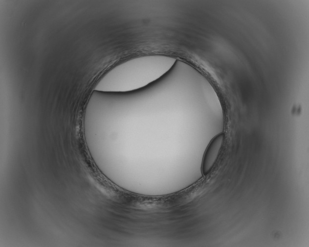 X0000090990065200708021212