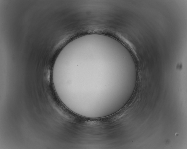 X0000090990067200708021212