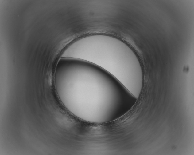 X0000090990068200708021213