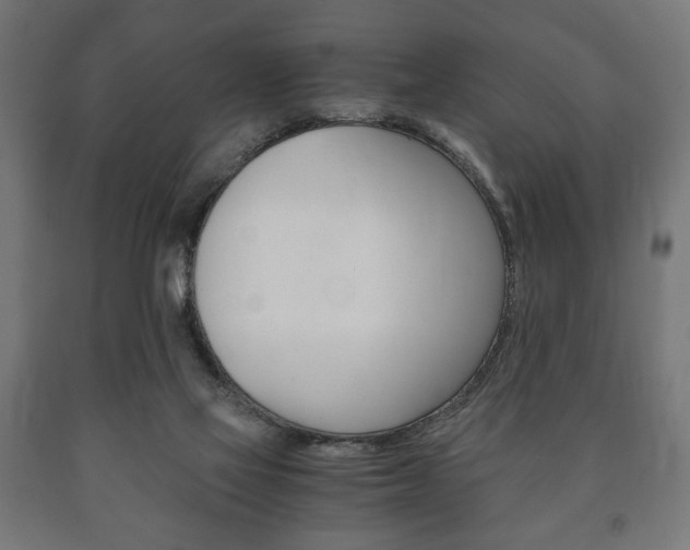 X0000090990069200708021213