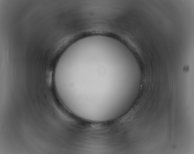 X0000090990070200708021213