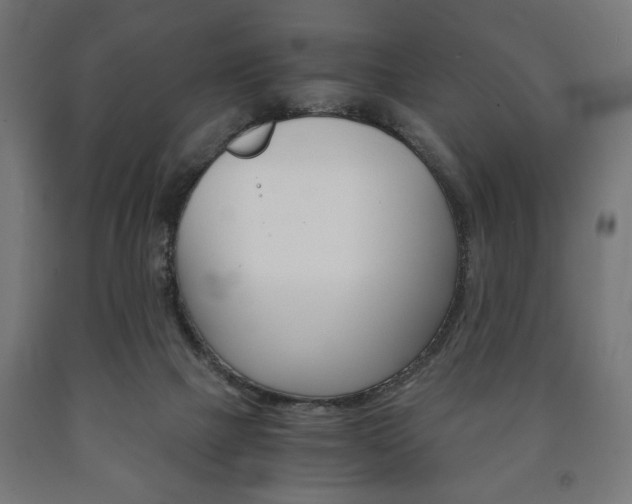 X0000090990073200708021213