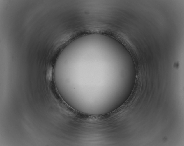 X0000090990076200708021213