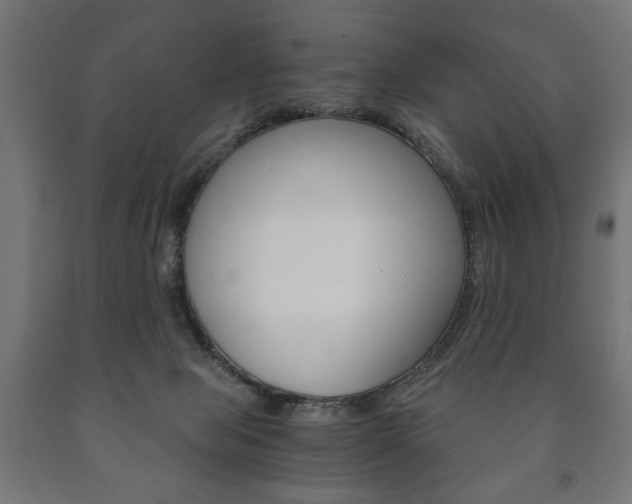 X0000090990077200708021213