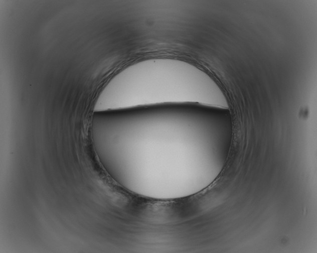 X0000090990078200708021213