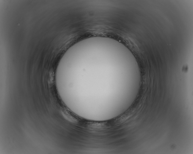 X0000090990081200708021213