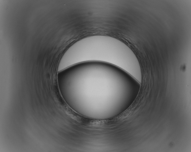 X0000090990084200708021213