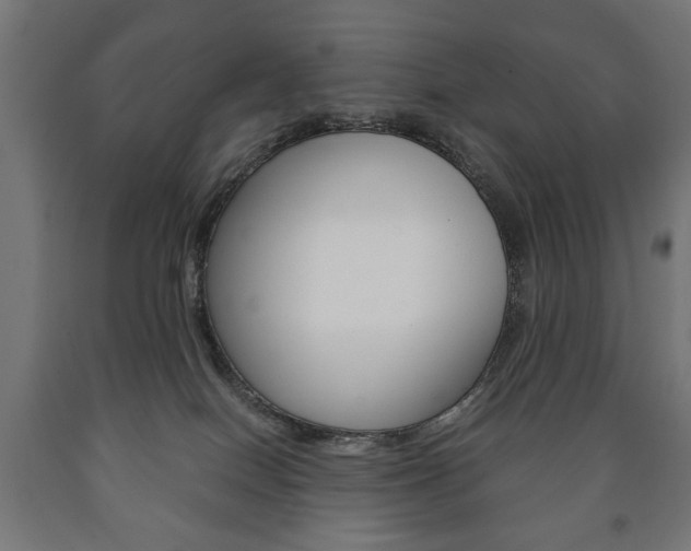 X0000090990086200708021213