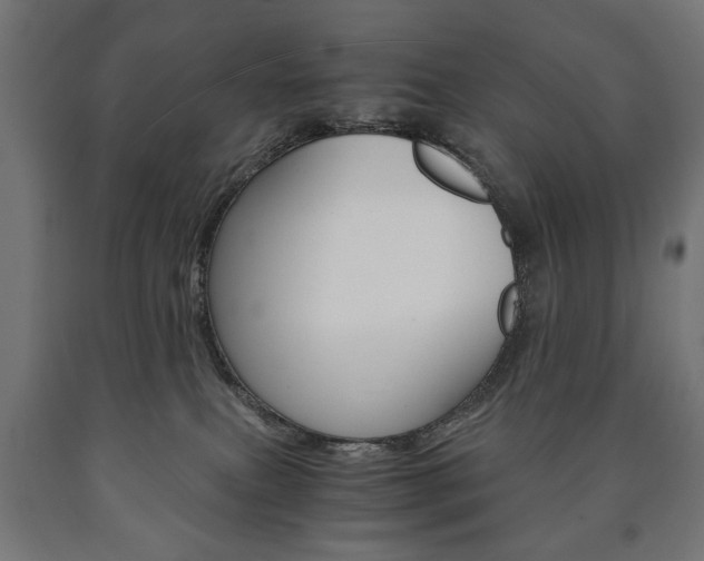 X0000090990087200708021213