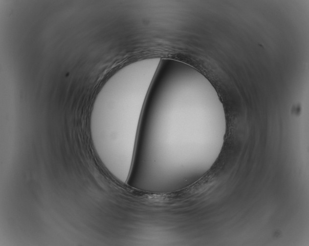 X0000090990088200708021213