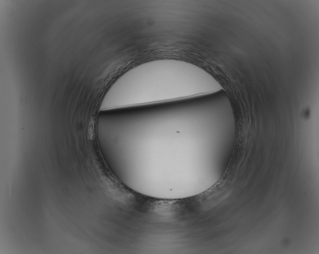 X0000090990090200708021213