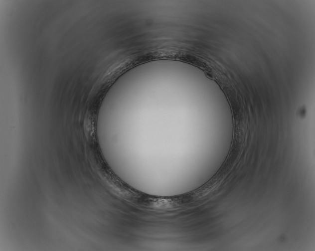 X0000090990091200708021213