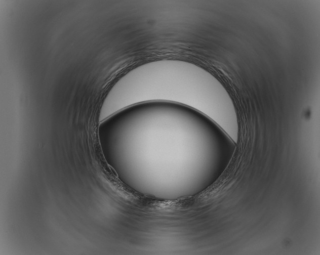 X0000090990092200708021213