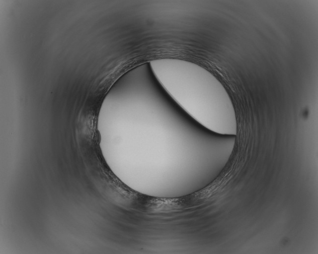 X0000090990093200708021213