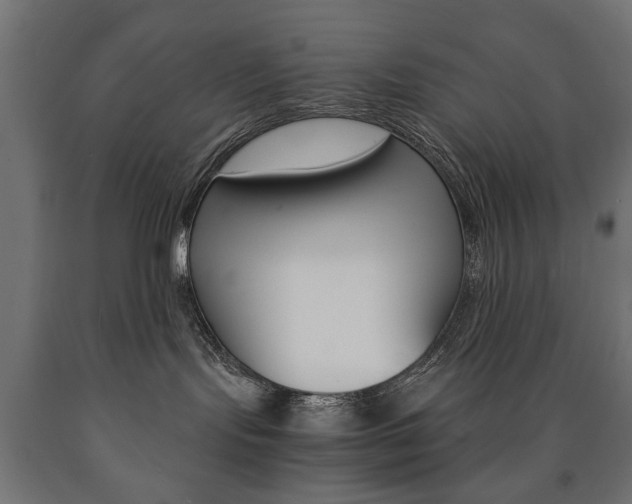 X0000090990095200708021213