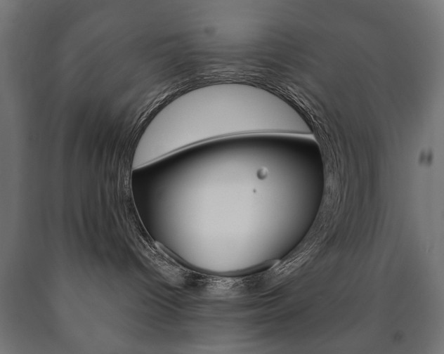 X0000090990096200708021213