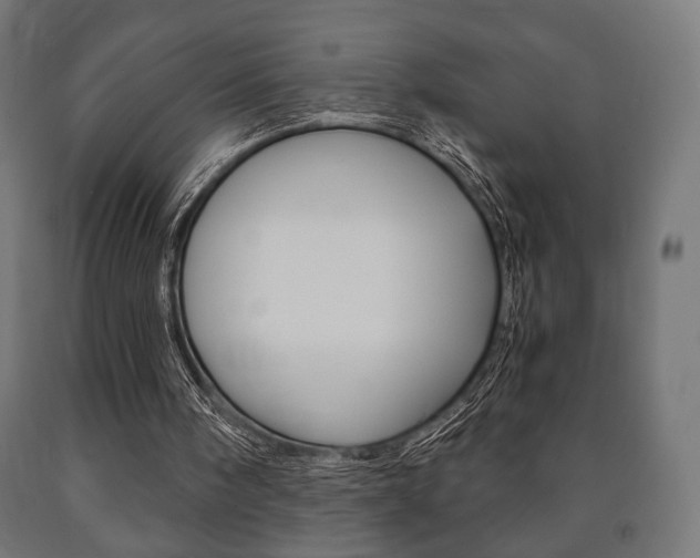 X0000090990098200708021212