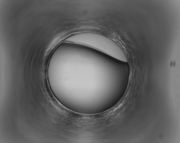 X0000090990101200708021212