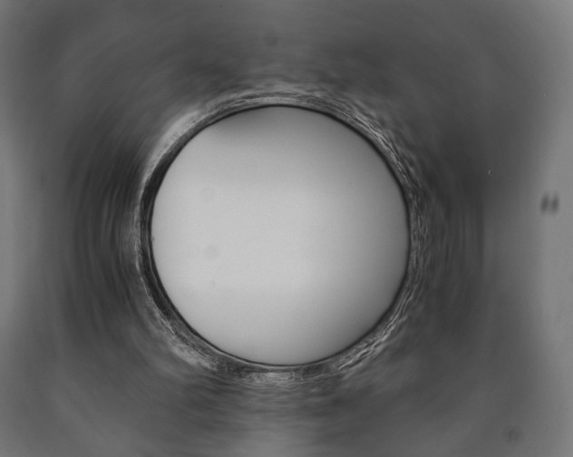 X0000090990102200708021212