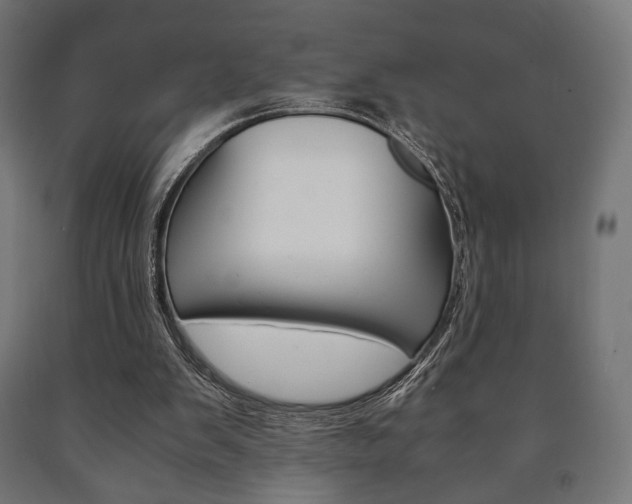 X0000090990103200708021212