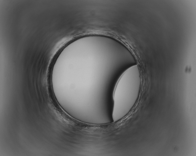 X0000090990104200708021212