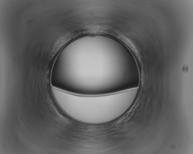 X0000090990105200708021212