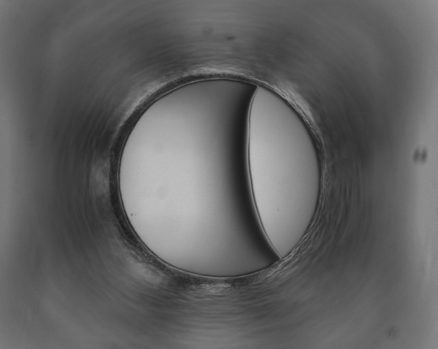 X0000090990108200708021212