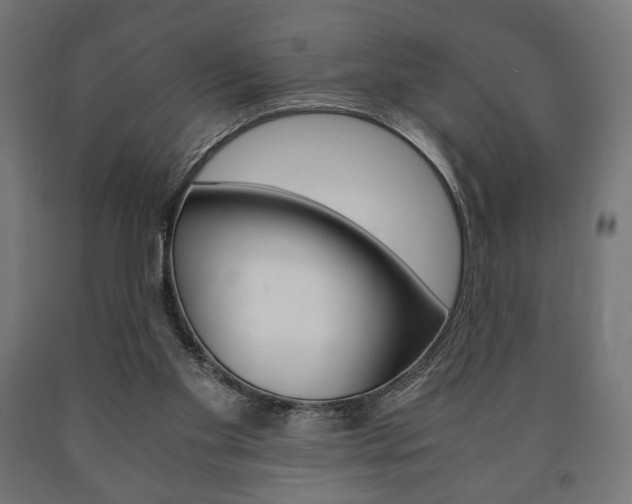 X0000090990109200708021212