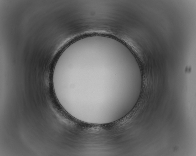 X0000090990112200708021212