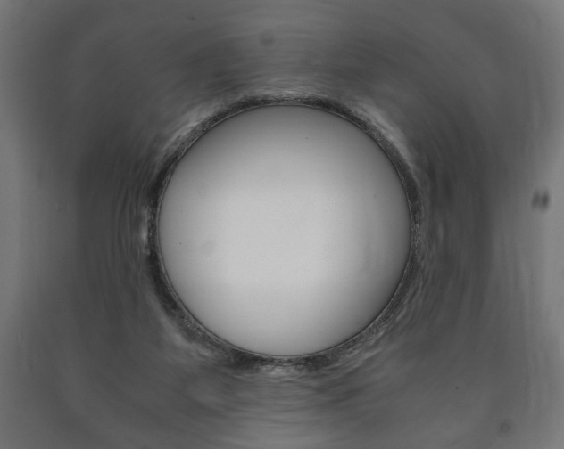 X0000090990115200708021212