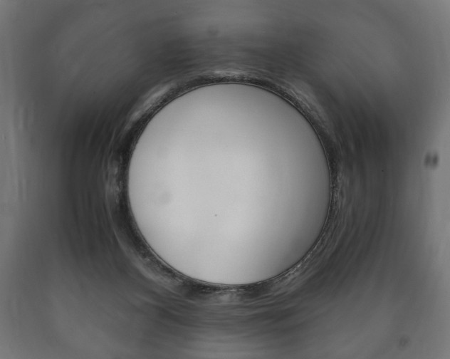 X0000090990116200708021212