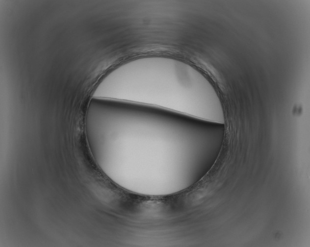 X0000090990119200708021212