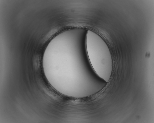 X0000090990120200708021212