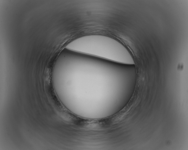 X0000090990121200708021212