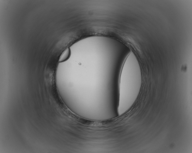 X0000090990123200708021212