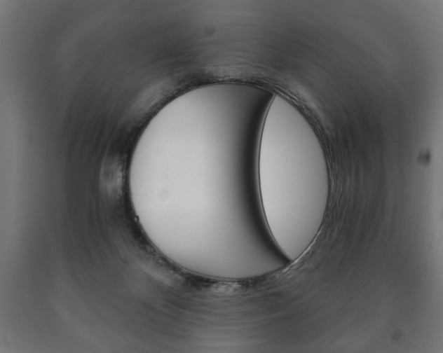 X0000090990124200708021212